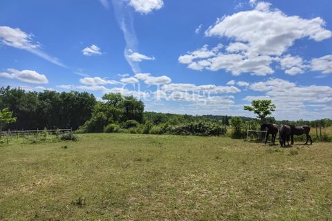 Villa i Gensac, Gironde, Gensac - € 349.900 | Ref: CJP011 - foto 25