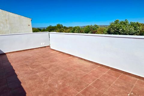 Bungalow i Torrevieja, Alicante, Torrevieja - € 139.950 | Ref: 4138MB - foto 17