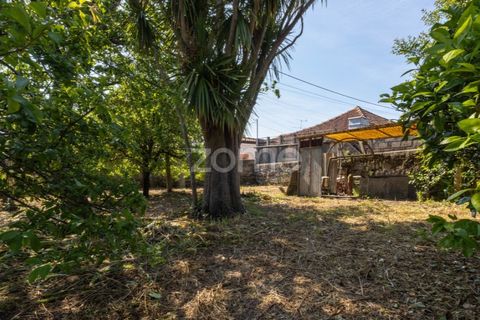Villa i Vila do Conde, Porto, Vila do Conde - € 349.000 | Ref: ZMPT589062 - foto 10