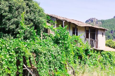 Terra a Vila Flor, Braganca, Vila Flor - € 20.000 | Ref: CM9 - foto 2