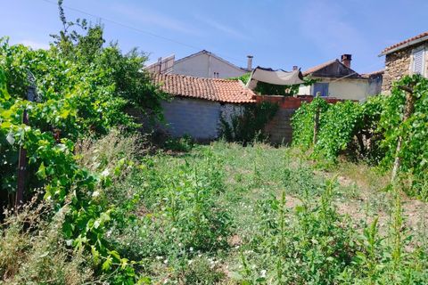 Terra a Vila Flor, Braganca, Vila Flor - € 20.000 | Ref: CM9 - foto 8