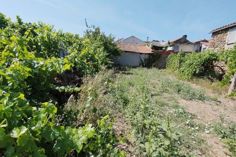 Terra a Vila Flor, Braganca, Vila Flor - € 20.000 | Ref: CM9 - foto 9