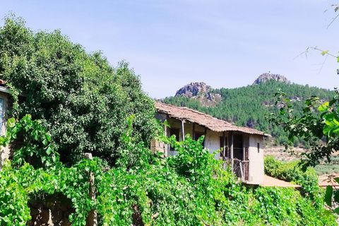 Terra a Vila Flor, Braganca, Vila Flor - € 20.000 | Ref: CM9 - foto 10