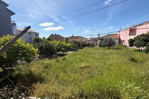 Terra a Vila Flor, Braganca, Vila Flor - € 45.000 | Ref: CM12 - foto 2