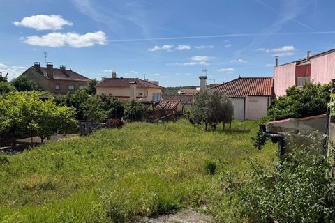 Terra a Vila Flor, Braganca, Vila Flor - € 45.000 | Ref: CM12 - foto 3