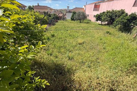 Terra a Vila Flor, Braganca, Vila Flor - € 45.000 | Ref: CM12 - foto 4