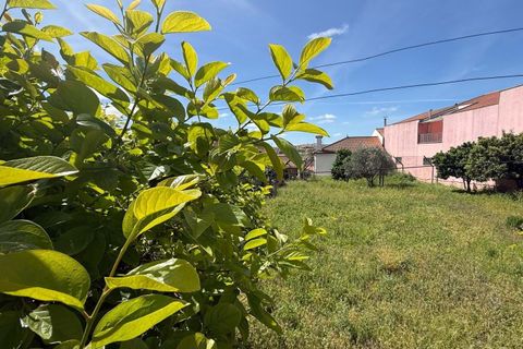 Terra a Vila Flor, Braganca, Vila Flor - € 45.000 | Ref: CM12 - foto 5