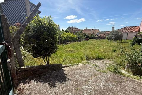 Terra a Vila Flor, Braganca, Vila Flor - € 45.000 | Ref: CM12 - foto 7