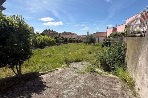 Terra a Vila Flor, Braganca, Vila Flor - € 45.000 | Ref: CM12 - foto 9