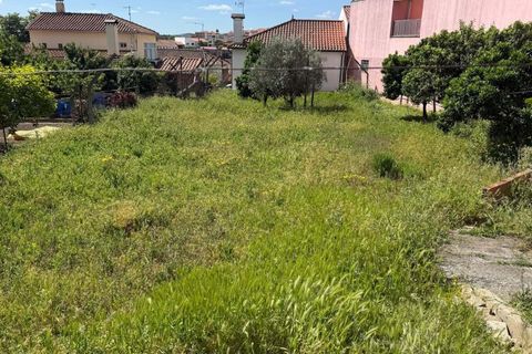 Terra a Vila Flor, Braganca, Vila Flor - € 45.000 | Ref: CM12 - foto 10