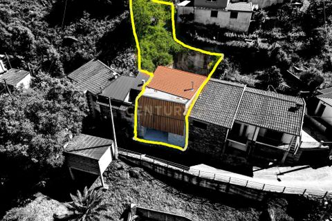 Villa a Terras de Bouro, Braga, Terras de Bouro - € 285.000 | Ref: C0256-03467 - foto 44