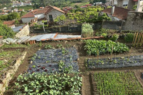 Helårsgrund i Barroselas, Viana do Castelo, Barroselas - € 57.500 | Ref: C0256-03483 - foto 19