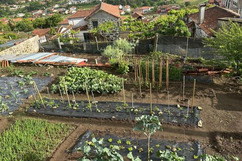 Helårsgrund i Barroselas, Viana do Castelo, Barroselas - € 57.500 | Ref: C0256-03483 - foto 34