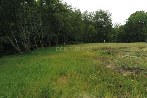 Terra a Terras de Bouro, Braga, Terras de Bouro - € 25.000 | Ref: C0256-03484 - foto 8