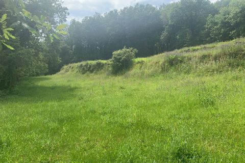 Terra a Terras de Bouro, Braga, Terras de Bouro - € 25.000 | Ref: C0256-03484 - foto 14