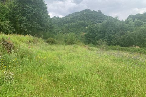 Terra a Terras de Bouro, Braga, Terras de Bouro - € 25.000 | Ref: C0256-03484 - foto 16