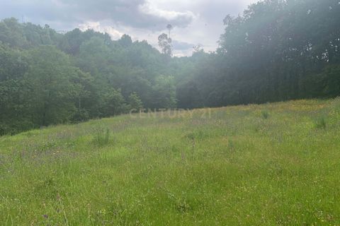 Terra a Terras de Bouro, Braga, Terras de Bouro - € 25.000 | Ref: C0256-03484 - foto 17