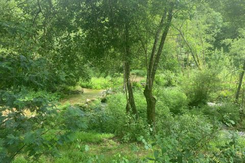 Terra a Terras de Bouro, Braga, Terras de Bouro - € 25.000 | Ref: C0256-03484 - foto 20