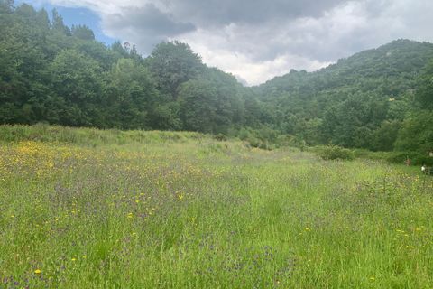 Terra a Terras de Bouro, Braga, Terras de Bouro - € 25.000 | Ref: C0256-03484 - foto 21