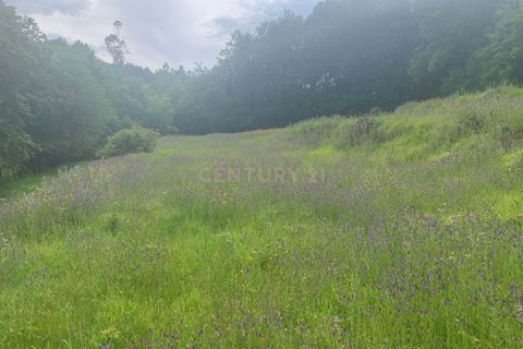 Terra a Terras de Bouro, Braga, Terras de Bouro - € 25.000 | Ref: C0256-03484 - foto 22