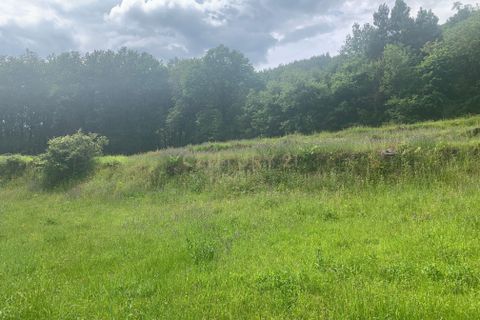 Terra a Terras de Bouro, Braga, Terras de Bouro - € 25.000 | Ref: C0256-03484 - foto 23