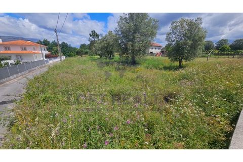 Helårsgrund i Ponte de Lima, Viana do Castelo, Ponte de Lima - € 69.000 | Ref: SÒL_87 - foto 1