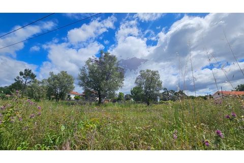 Helårsgrund i Ponte de Lima, Viana do Castelo, Ponte de Lima - € 69.000 | Ref: SÒL_87 - foto 2