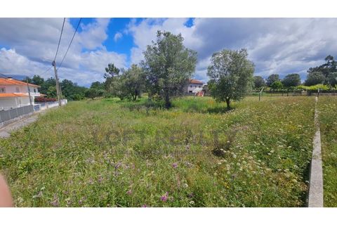 Helårsgrund i Ponte de Lima, Viana do Castelo, Ponte de Lima - € 69.000 | Ref: SÒL_87 - foto 4