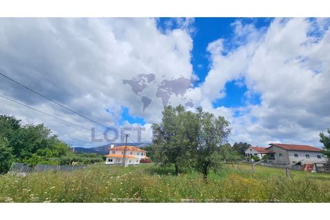 Helårsgrund i Ponte de Lima, Viana do Castelo, Ponte de Lima - € 69.000 | Ref: SÒL_87 - foto 6