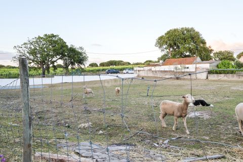 Farm hus i Setubal, Setubal, Setubal - € 898.000 | Ref: 20260518-1 - foto 45
