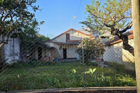 Villa i Soure, Coimbra, Soure - € 96.500 | Ref: C0381-00901 - foto 18