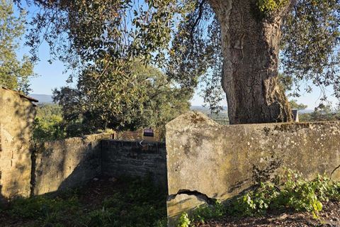 Villa i Soure, Coimbra, Soure - € 96.500 | Ref: C0381-00901 - foto 19