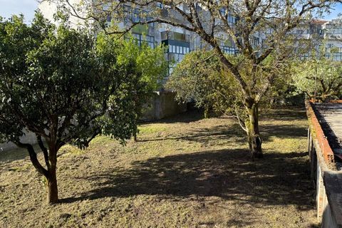 Villa i Carregal do Sal, Viseu, Carregal do Sal - € 298.500 | Ref: SALI0290 - foto 34