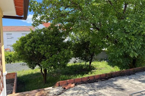 Villa i Carregal do Sal, Viseu, Carregal do Sal - € 298.500 | Ref: SALI0290 - foto 44