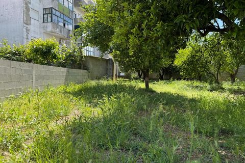 Villa i Carregal do Sal, Viseu, Carregal do Sal - € 298.500 | Ref: SALI0290 - foto 45