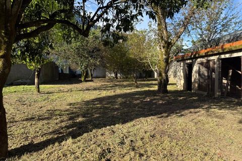 Villa i Carregal do Sal, Viseu, Carregal do Sal - € 298.500 | Ref: SALI0290 - foto 47