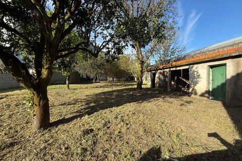 Villa i Carregal do Sal, Viseu, Carregal do Sal - € 298.500 | Ref: SALI0290 - foto 48