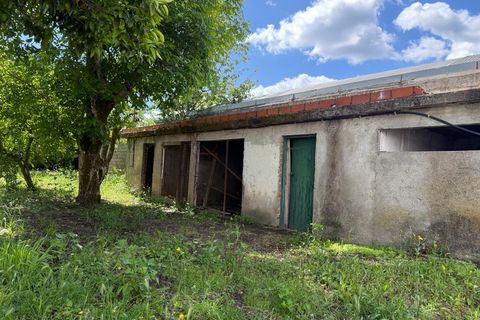 Villa i Carregal do Sal, Viseu, Carregal do Sal - € 298.500 | Ref: SALI0290 - foto 49