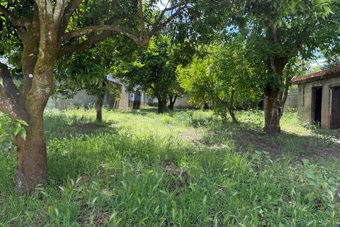 Villa i Carregal do Sal, Viseu, Carregal do Sal - € 298.500 | Ref: SALI0290 - foto 50