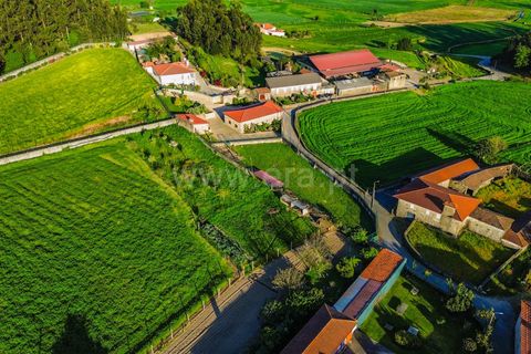 Helårsgrund i Barcelos, Braga, Barcelos - € 130.000 | Ref: 254260725 - foto 4