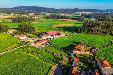 Helårsgrund i Barcelos, Braga, Barcelos - € 130.000 | Ref: 254260725 - foto 5