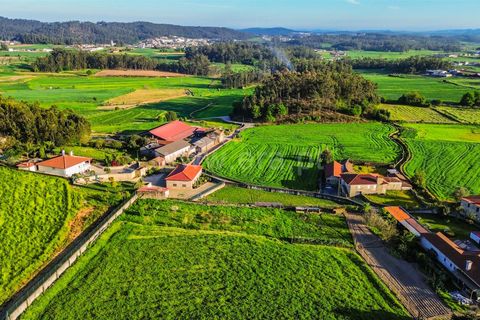 Helårsgrund i Barcelos, Braga, Barcelos - € 130.000 | Ref: 254260725 - foto 6
