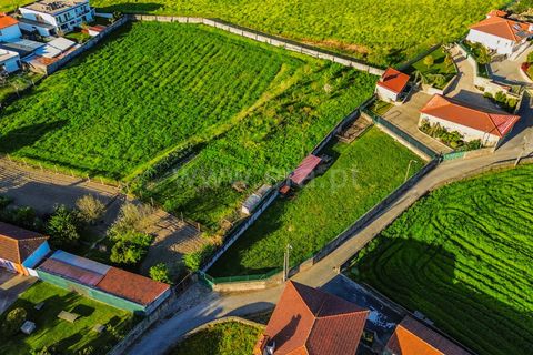 Helårsgrund i Barcelos, Braga, Barcelos - € 130.000 | Ref: 254260725 - foto 9