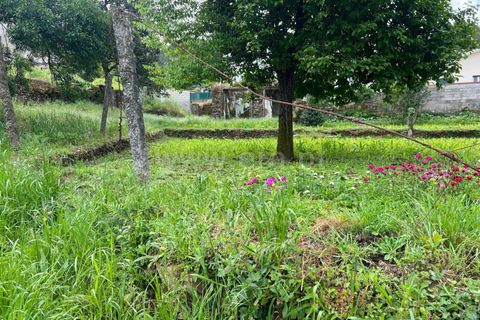 Byhus i Barcelos, Braga, Barcelos - € 70.000 | Ref: 254260790 - foto 7