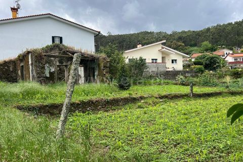Byhus i Barcelos, Braga, Barcelos - € 70.000 | Ref: 254260790 - foto 11