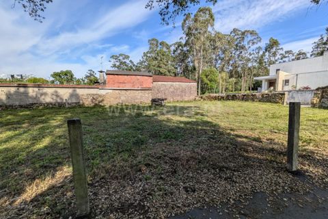 Helårsgrund i Barcelos, Braga, Barcelos - € 57.000 | Ref: 254260791 - foto 10
