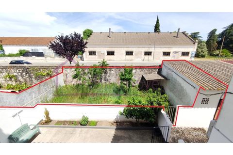 Lejlighed i Estremoz, Evora, Estremoz - € 320.000 | Ref: MF-0087 - foto 4