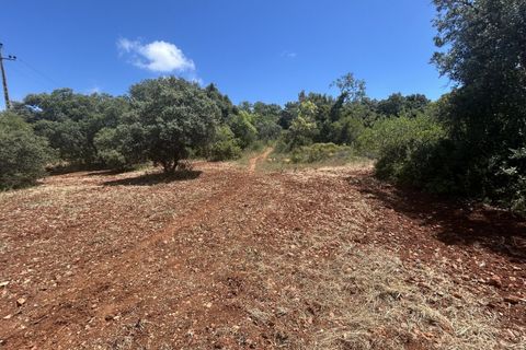 Helårsgrund i Almancil, Faro, Almancil - € 697.000 | Ref: AV-PBI-1398 - foto 3