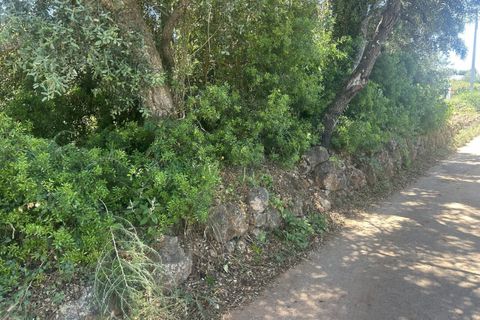 Helårsgrund i Almancil, Faro, Almancil - € 697.000 | Ref: AV-PBI-1398 - foto 4