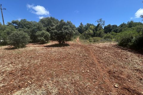 Helårsgrund i Almancil, Faro, Almancil - € 697.000 | Ref: AV-PBI-1398 - foto 7